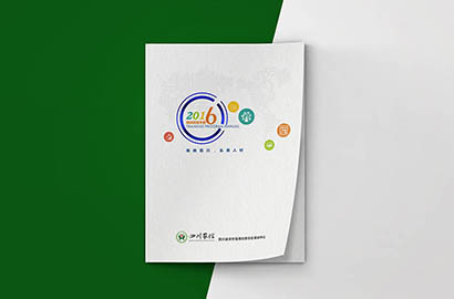 弋江区画册设计：以场景为媒，打造城市体验的全新入口